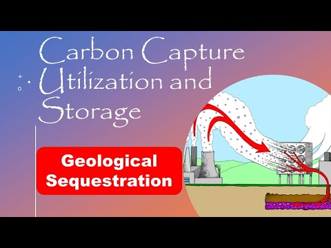 Carbon Capture Utilization and Storage | Introduction