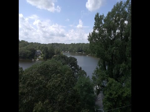 Yah Nation - Flowing the River (Live Loop) Punk Rock Band 2021