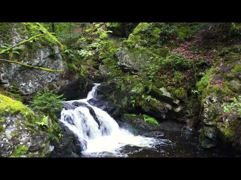 Gerardmer