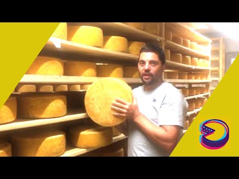 🧀Formatges Sant Gil a la ExpoCheese 2020
