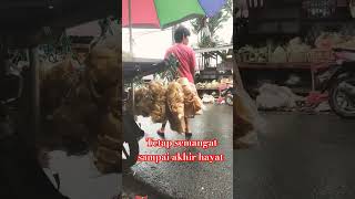 Download lagu Pagi syahdu #short #musimhujan #desember2024 #akhirtahun2024 #perantauan #jawatengah mp3 Download lagu Pagi syahdu #short #musimhujan #desember2024 #akhirtahun2024 #perantauan #jawatengah mp3