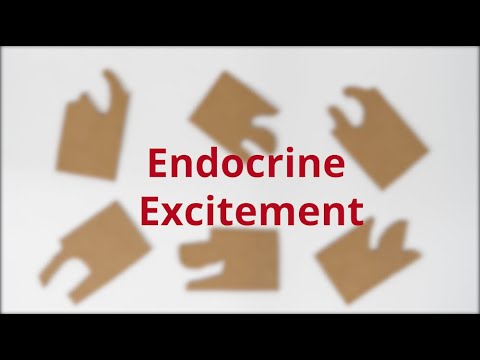 Endocrine System Activity Sheet
