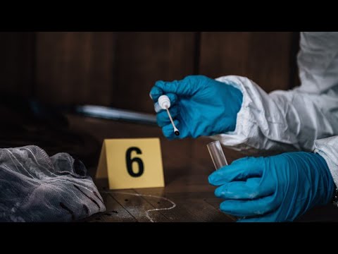 Forensics Crash Course Ep3: Crime Scene Procedure & Investigation