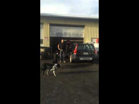 2001 Volvo XC 70 EngineTransmission Swap from 2005 XC700