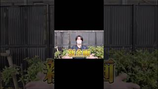 【オリパバトル】プレゼント企画！！#ポケカ #ポケモン #ポケモンカード #pokemon #pokemoncards #shorts #shortvideo #shortsfeed