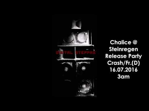 Chalice (Digital-Steppaz) @ Steinregen Release Party Crash 16 07 2016