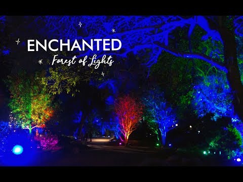 download lagu mp3 mp4 Enchanted Forest La, download lagu Enchanted Forest La gratis, unduh video klip Enchanted Forest La