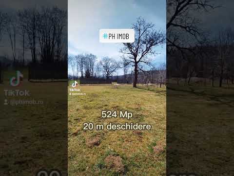 Teren intravilan de vanzare Brebu — Video