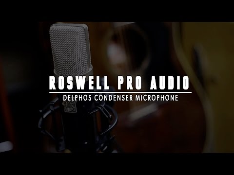 Roswell Pro Audio - Delphos Condenser Microphone