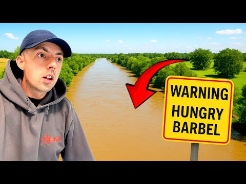 IT FINALLY HAPPENED ON THE RIVER SEVERN