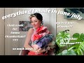 everything I crocheted/knit in june & july | mesh, socks, & vests galore !!!!!!