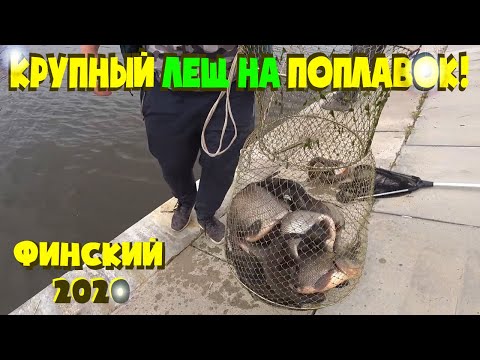 ПОКЛЕВКИ ЛЕЩА ОДНА ЗА ОДНОЙ! РЕАЛЬНО БЕШЕНЫЙ КЛЁВ РЫБЫ. МОЯ ЛУЧШАЯ РЫБАЛКА. ХОРОШИЙ ЛЕЩ НА ПОПЛАВОК