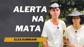 O Sumiço dos Animais Selvagens no Campo