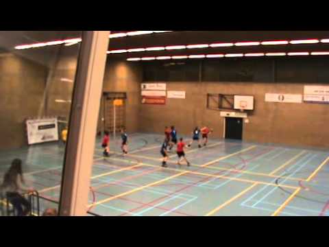 BlauwZwart  1  Reehorst 45 1