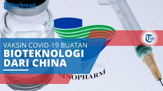 Fakta Sinovac, Efektifitas hingga Efek Samping Vaksin Covid-19 dari Perusahaan Bioteknologi China