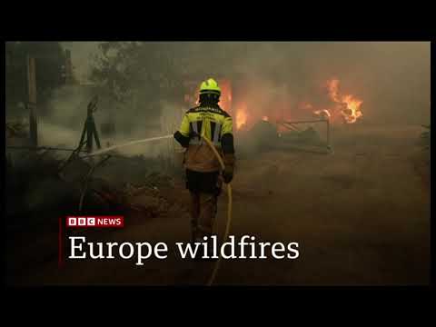 BBC One Minute World News