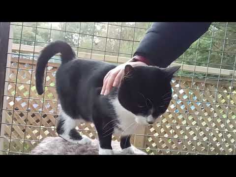 Latoya starting to properly enjoy strokes ❤️ 💙