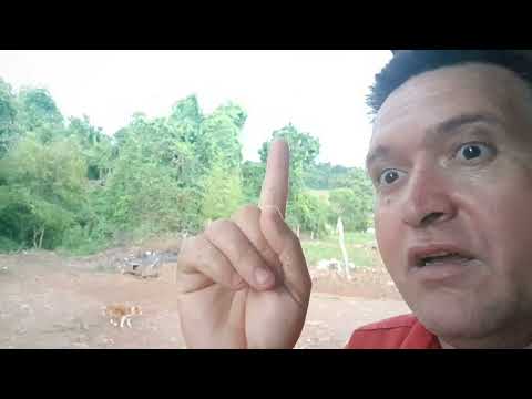 Vem #tenporal em laranjeira vicente dutra rio grade do sul