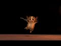 Mort It S You Meme Madagascar 2 Meme