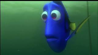 Finding Nemo (2003) Sorry It’s Over