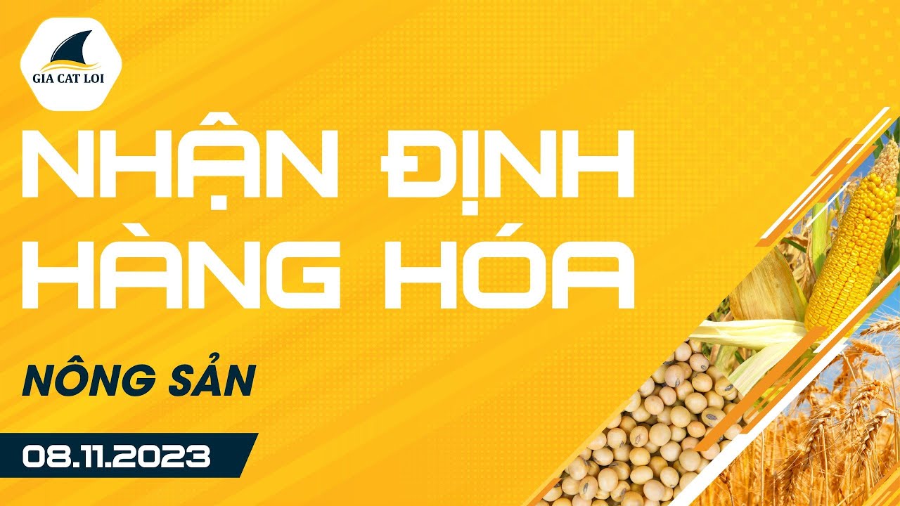 Nhận Định Hàng Hoá Nông Sản Ngày 08/11/2023