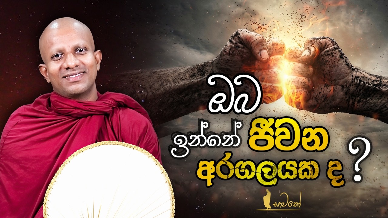 ඔබ ඉන්නෙ ජීවන අරගලයක ද?