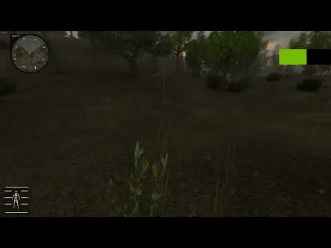 Stalker anomaly reborn zone bug.