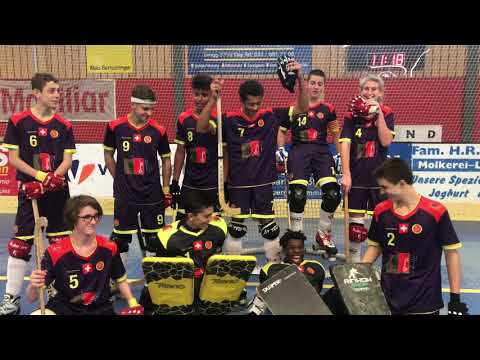 les M17 à Wimmis (Novembre 2018)