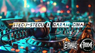 Download lagu DJ STECU X GARAM CINA REMIX VIRAL TIKTOK FUNKOT TERBARU 2025 (DJ-EMAUU) mp3