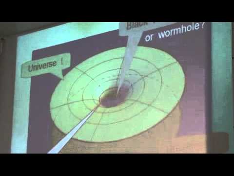 Black Holes in elementary particles - Gerardus t'Hooft 2008