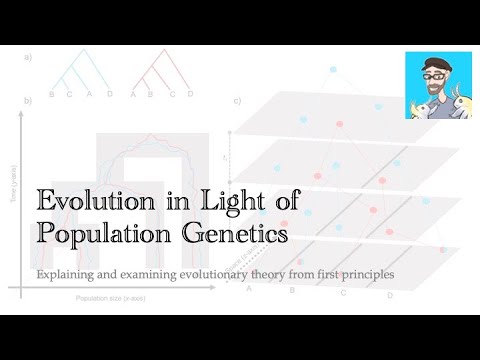 Evolution in Light of Population Genetics: Pt. I