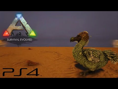 Cómo tamear un dodo  |  ARK 2021