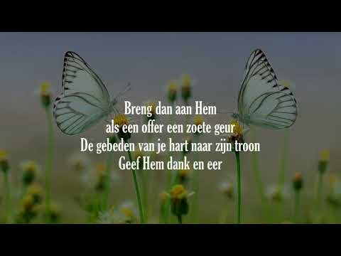 Opwekking met tekst 364 Prijs onze Heer (versie 1 KORT)