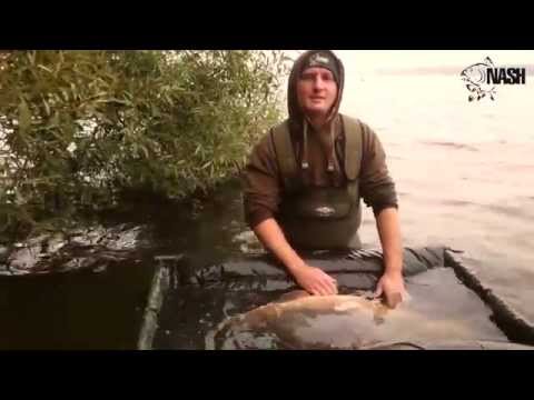 WIELKIE KARPIE Z RYBNIKA - NASH TACKLE