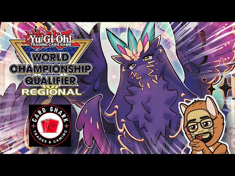 1st Place Purrely | Providence, RI Regionals September 2023 | Logan Shepard