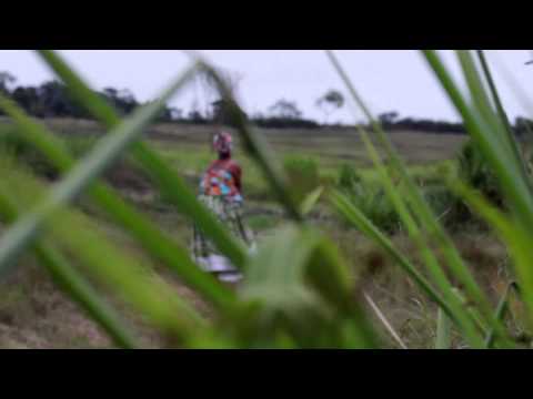O Canto video