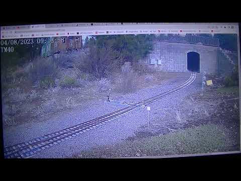 MongoTV_12600 - GARDEN RAILWAY - Part 97 - Train Mountain Railroad - Saturday 9.10 AM