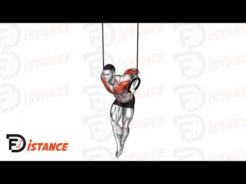 Dips sur anneaux - Exercice Dips sur anneaux en vidéo