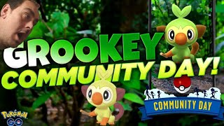GROOKEY COMMUNITY DAY CHALLENGE 