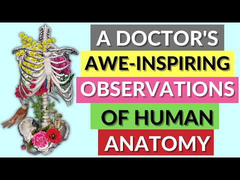 An MD's Awe-Inspiring Observations of Human Anatomy