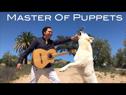 METALLICA - Master Of Puppets (Acoustic) - Guitar Cover with Solos!