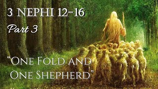 Come Follow Me - 3 Nephi 12-16 (part 3): "One Fold and One Shepherd"