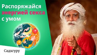 Возможны ли отношения без секса?