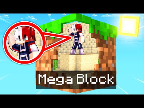 Minecraft But We’re On ONE MEGA BLOCK!