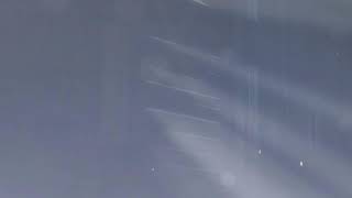 化石がシージしてみた242