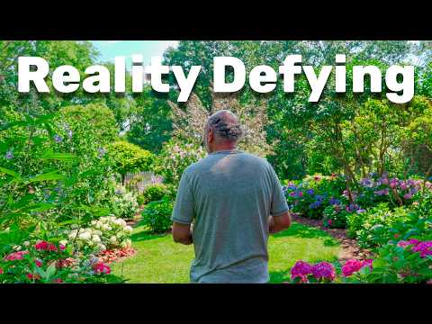 My unlikely journey to a hidden sanctuary that shouldn't exist on earth