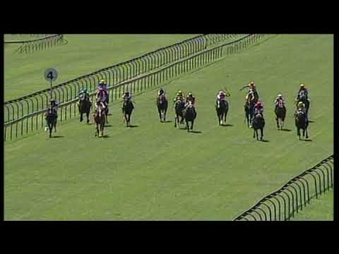 20200226 Hollywoodbets Scottsville Express Clip Race 1 won by STELLA ACT
