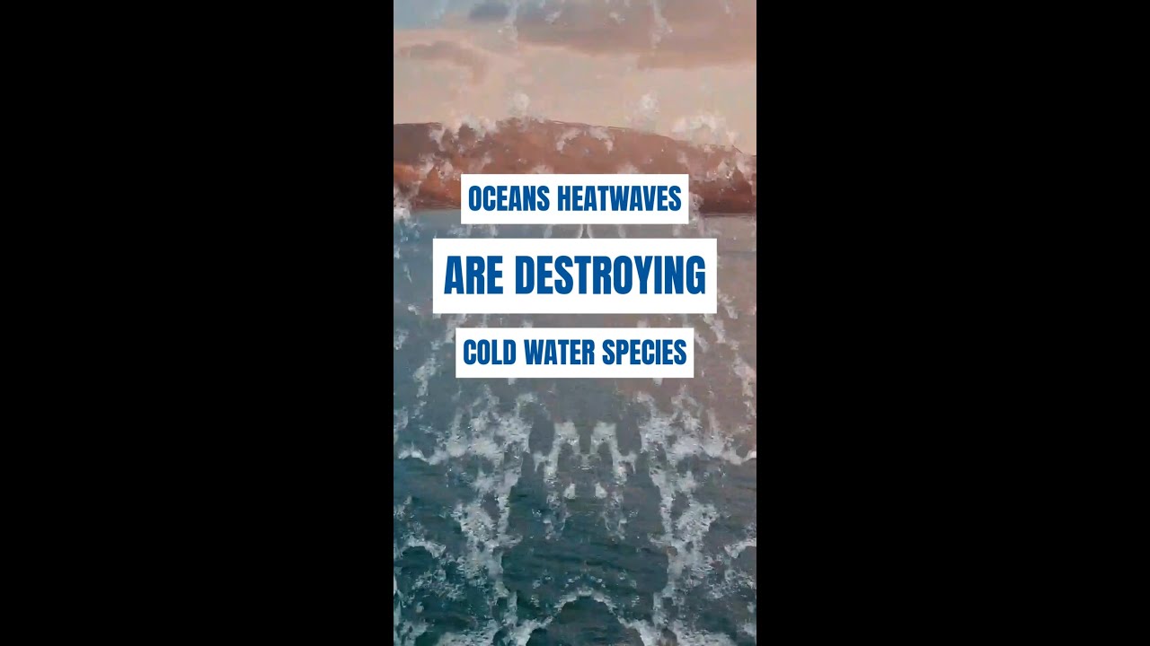 How are Alaskan fisheries adapting to warming waters?