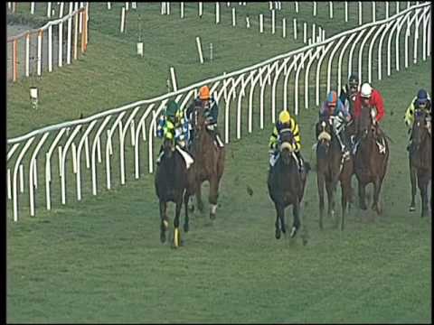 Galoppo 21/01/2017 - 2ª corsa