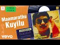 Raaja Raajathan Maamarathu Kuyilu Lyric Ramarajan Gouthami Ilaiyaraaja